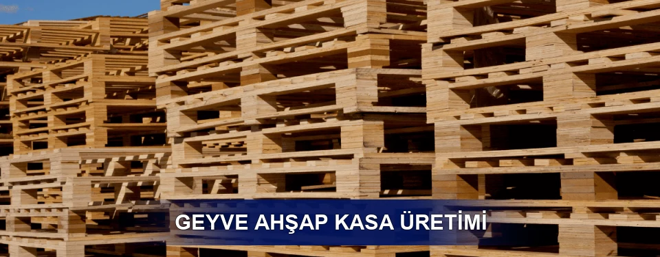 Geyve Fiyatlandırma