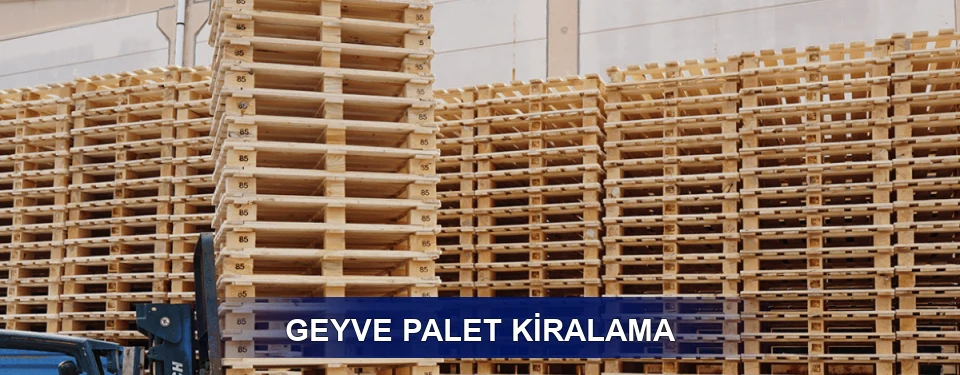 Geyve Uzun Dönem